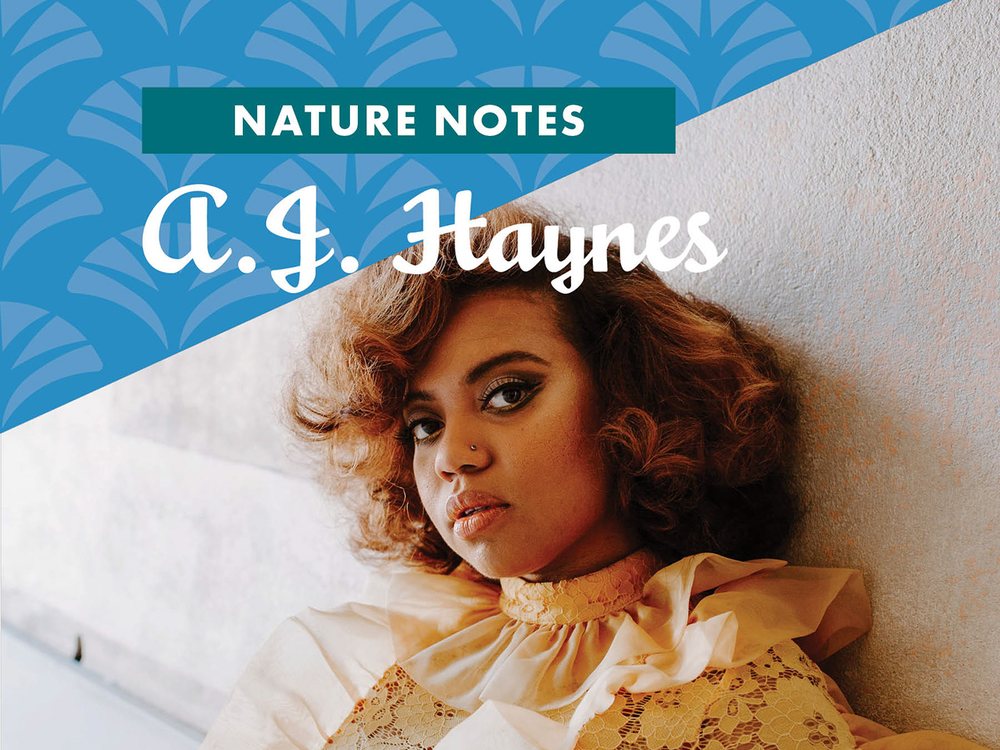 Nature Notes, A.J. Haynes